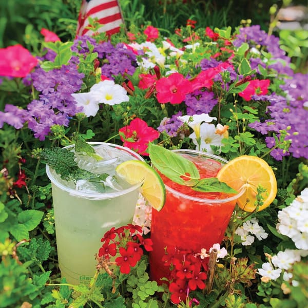 gallerycropped-07-compressed-jpg Mint Lemonade and Watermelon Lemonade